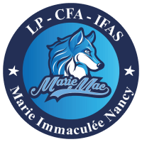 Logo MARIE IMMACULÉE